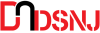 DSNJ Star Electromechanical LLC